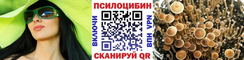 Галлюциногенные грибы Cubensis где продают наркотики darknet телеграм Бодайбо